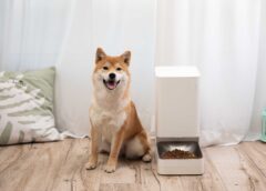 小米香港引入五款智能家電：首次涵蓋洗地、寵物、電腦類別