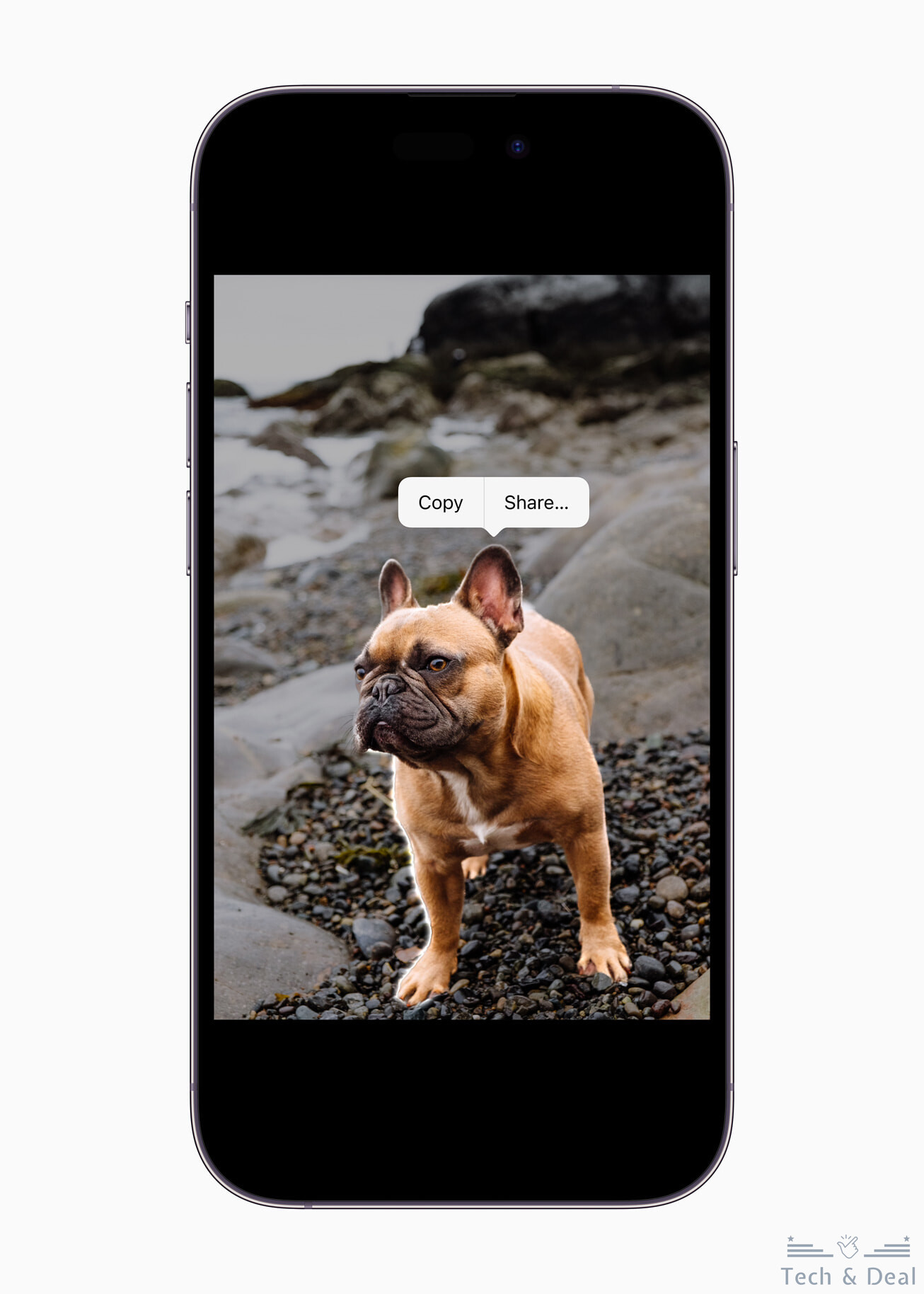 apple ios 16 iphone 14 pro visual lookup inline
